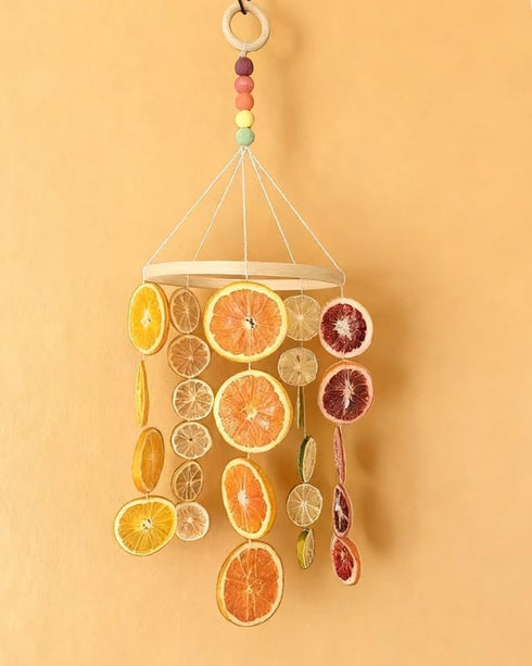 JUNNFEIA (6oz, Dried Blood Orange Slices All Natural Dehydrated Citrus No Additives No Sugar Added Garnish Dried Blood