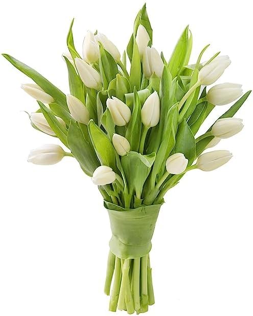 KaBloom PRIME NEXT DAY DELIVERY - Fall Collection - PREMIUM 20 White