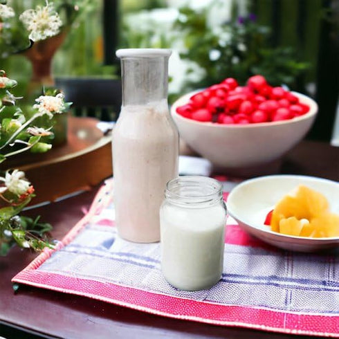 Generic 1 Milk Kefir Grains Starter Bulgaros de Leche, Pajaritos de Leche Fast Growth Culture Start your Homenade