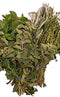 TastePadThai Fresh Herbs Bundle. Fresh Rosemary, Thyme, Oregano and Fresh Mint
