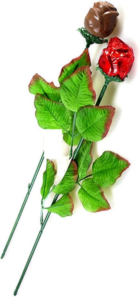 FavorOnline 6 19-inch Personalized Valentine's Chocolate Roses Bouquet Gift of Long Stem Red Roses with Silk Green