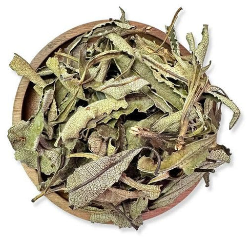 NY SPICE SHOP Whole Yerba Santa Leaf - 1 Pound Raw Yerba