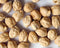 wbut Chickpeas Plant Seed, (100 Seeds) A.k.a Garbanzo Beans, Gram, Easy to Grow,