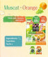 Pack 4 24 Yummy-Yamaguchi Japanese Konjac Jelly Variety ,Konnyaku, Muscat, Mandarin, Apple, Grape Flavors , Pieces