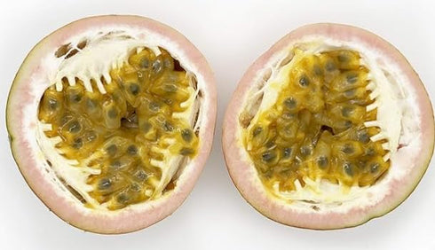 12 Count (Pack 1) Kejora Fresh Purple Passion Fruit Grown in the USA - of - Pick Fresh
