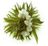 10 Blooming Flower Tea, 5 Jasmine & 5 Green