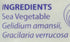 Eden Agar Agar Sea Vegetable Flakes - 1 Ounce, Pack of 1
