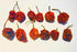 Wicked Reaper Wicked Tickle Carolina Reaper Chili Peppers, World's Hottest Dried Spice 10 Pack + 2 Free