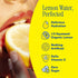 15.2 oz (12-Pack) Lemon Perfect Original, Flavored Lemon Water, Organic, Zero Sugar, Healthy Hydration Drinks, fl