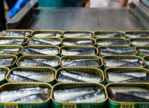 Bom Petisco 3 120 Tuna in olive oil tins x g, / Portugal