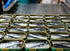 Bom Petisco 3 120 Tuna in olive oil tins x g, / Portugal
