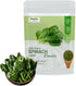 Generic (Pack of 2) Organic Spinach Powder | Pure Green Superfood for Smoothies
