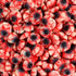 Halloween Candy - Gummy Eyeballs Candy for Drinks - Edible Jelly Halloween