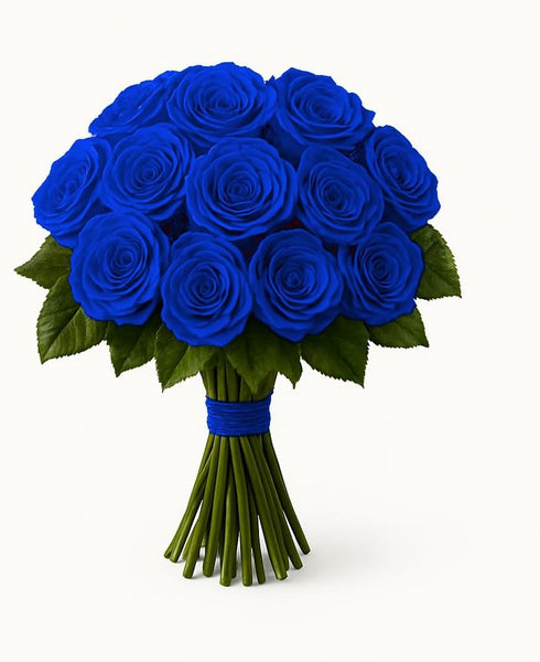 Generic One Dozen Fresh Roses Bouquet, 12 Premium 50CM Long-Stem Ecuador Roses, Hand-Tied