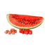 7 Pack 100% Freeze-Dried Watermelon Real Fruit, No Sugar Added, Crunchy & Delicious, Long Shelf Life