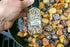 Primal Palate Organic Steak Seasoning, Certified Organic, 7.2 oz Resealable Bag