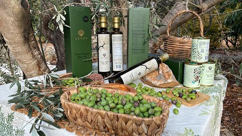 Levon 16.9 oz (500ml), , Gold Harvest Extra Virgin Olive Oil, fl Polyphenol Rich Premium Cold Pressed EVOO, Pesticide
