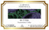 Larissa Veronica (12 571578) 3 Pack Butter Guatemalan Coffee (Single Serve K-Cup Pods) (Gourmet, Naturally Flavored