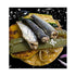 Ramon Pena 25/30 1 130g Canned Sardines in Olive Oil | Sardines Per Tin | x Can