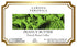 Larissa Veronica (12 573975) 3 Pack Peanut Butter French Roast Coffee (Single Serve K-Cup Pods) (Gourmet, Naturally