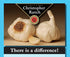 Gilroy's Christopher Ranch Finest Fresh USA Garlic - 4 X 4oz -