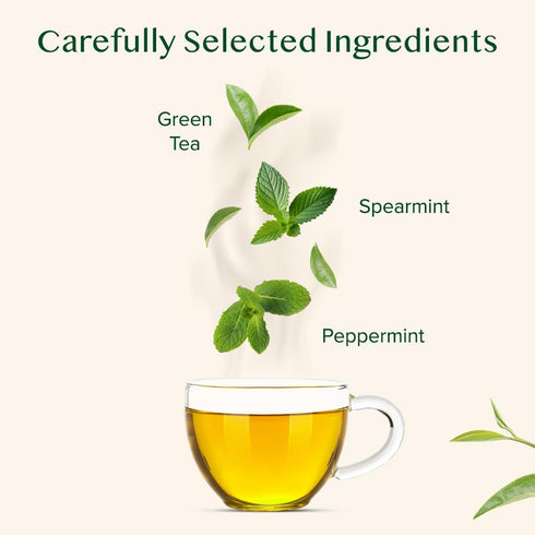 VAHDAM Mint Green Tea Bags (30 Count), 100% Pure Leaf Tea, High Grown, Low Caffeine, Non-GMO, Gluten-Free, Individually