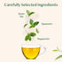 VAHDAM Mint Green Tea Bags (30 Count), 100% Pure Leaf Tea, High Grown, Low Caffeine, Non-GMO, Gluten-Free, Individually