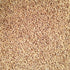 Grain Place Foods 2 lb | Non-GMO Organic Hulled Barley | Made in the USA | Bag