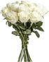 Generic Dozen 12 50CM/19.69IN) One Fresh Roses Bouquet, Premium Long-Stem Ecuador Roses, Hand-Tied Floral Arrangement