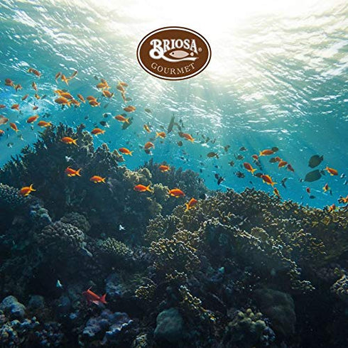 Briosa Gourmet packaged Omega-3 5 120 Sardines in Olive oil - Tinned and by Hand - Rich in - tins x g | Portugal