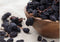 Back2Natural Black Raisins 14 oZ (400gm) | Black Fresh Raisins Seedless | ready