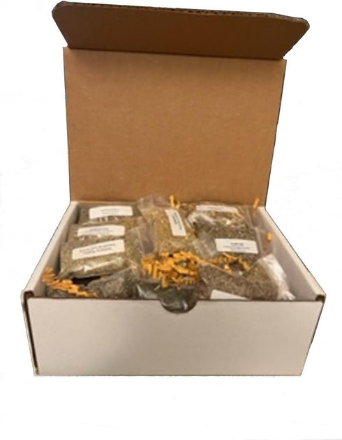 20 Herb Wiccan Apothecary Kit - Witchcraft, Wiccan, Pagan Herb Starter Kit