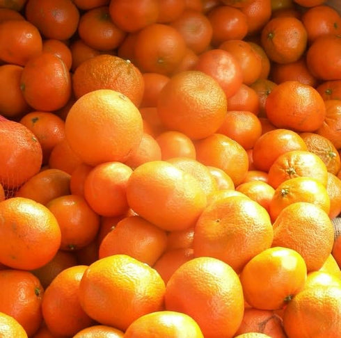 Generic 3 California Honey Tangerines Fresh Whole Fruit ~ Pound Bag ~ GMO Free, Medium