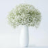 10 Stems Fresh White Gypsophila Flowers Can Be Stored In Water Or Dried Naturally Home hydroponic flower