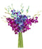 Blooms2Door PRIME NEXT DAY DELIVERY - Mothers Day Collection - Exotic Orchid,