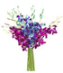 Blooms2Door PRIME NEXT DAY DELIVERY - Mothers Day Collection - Exotic Orchid,