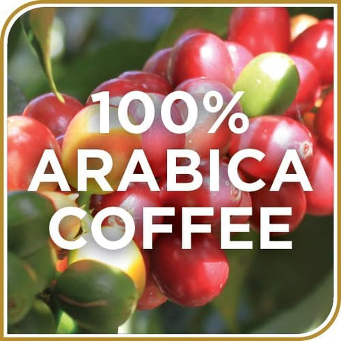 100% 3-Pack 12 oz Don Francisco's Caramel Spiced Rum Ground Coffee, Medium Roast Arabica, Seasonal Flavored Coffee