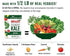 Brad's Plant Based Organic Crunchy Kale, Original with Probiotics - 3 Bags, 6 Servings Total