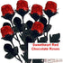 FavorOnline Dozen 9 1/2" One Chocolate Red Roses - Solid Premium Milk Chocolate Rose Wrapped in Shiny Red Italian Foil