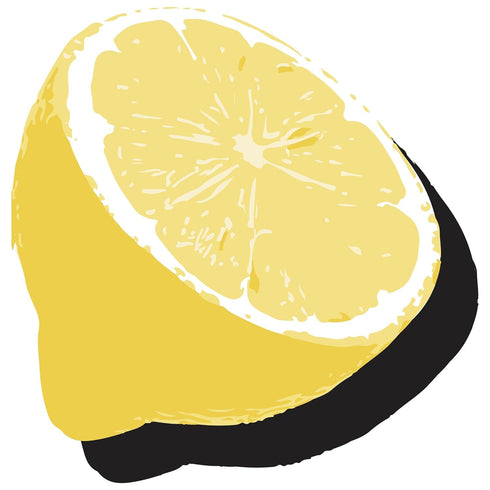 5 12 pack Lemon Sparkling Wellness Soda Naturally sweetened with dates Crafted with balsamic vinegar simple ingredients