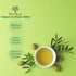 (500+ (1) Hermus by Cinagro Extra Virgin Olive Oil, Arbequina Variety, High Polyphenols ppm), Cold Press, Early