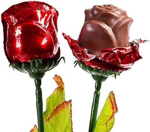 FavorOnline 6 19-inch Personalized Valentine's Chocolate Roses Bouquet Gift of Long Stem Red Roses with Silk Green