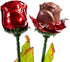FavorOnline 6 19-inch Personalized Valentine's Chocolate Roses Bouquet Gift of Long Stem Red Roses with Silk Green