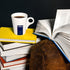 2.2 LB (Pack 1) Lavazza Gold Selection Filtro Whole Bean Coffee Light Roast,Vanille and Chamomille flower aromatic