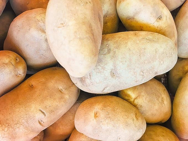 Generic Russet Idaho Potatoes Fresh Premium Fruit and Produce Vegetables, 20 pound case