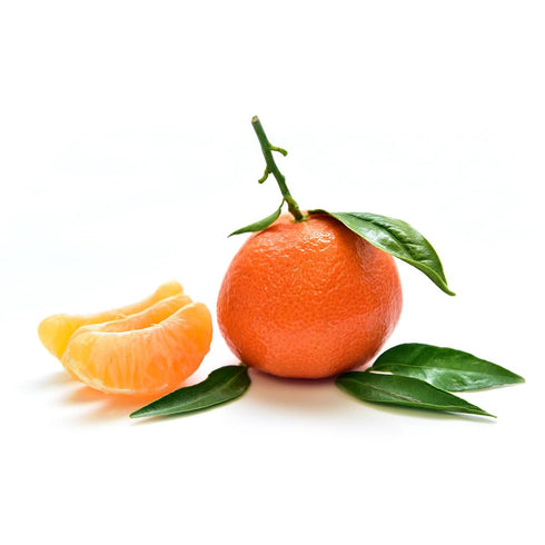 OliveNation Tangerine Extract - 8 oz, TTB-Approved for Brewing, Baking, Beverages, Kosher, Vegan, Sugar Free