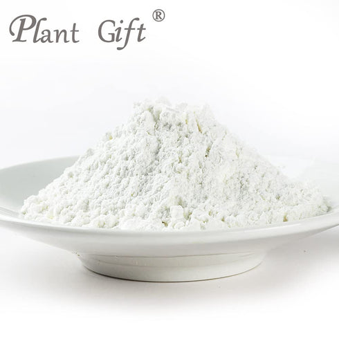 Plant Gift 100% 100G/3.25oz Pure Lotus Seed Powder Lotus Seed Flour, for Drinks, Adds Flavor and Taste Non-GMO Powder