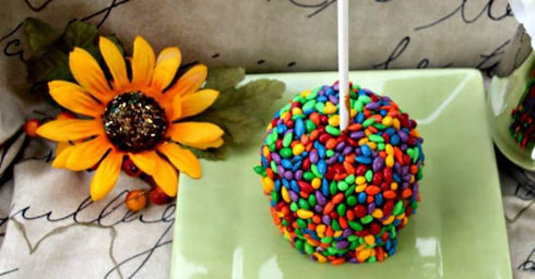 Sunflower Food Company Pack 3 Chocolate Covered Sunflower Seeds Multicolored Candy Coated Treats - Rainbow Party Favors
