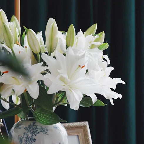 5 stems fresh-cut multi-petal lilies Scented for a long time and good for hydroponic flower arrangements Shipped