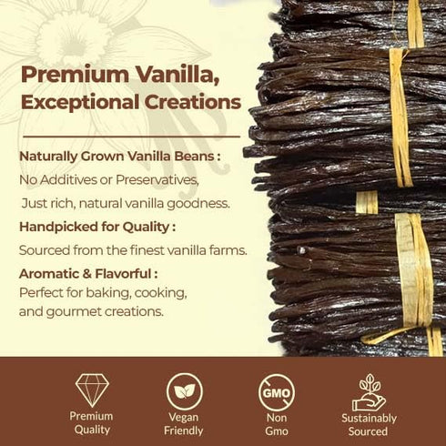 25 ~6-8 inches Whole Vanilla Beans Grade A ++ | Premium Vanilla Bean Pods for Making Extract | |NON GMO. Perfect